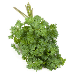 parsley leaves bunch isolated on white background cutout