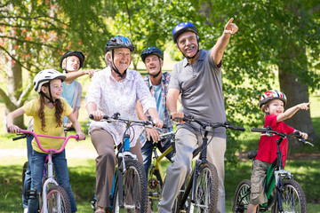 Poster - Happy family on their bike at the park 