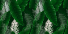 Seamless Pattern, Green Asplenium Nidus, Birds Nest Fern And Palm Leaves On Dark Green Background