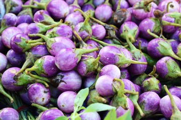 Canvas Print - Fresh eggplant purple organic in the market