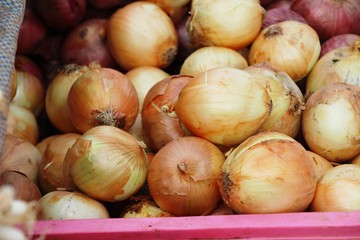 Canvas Print - Fresh onion for cooking in the market