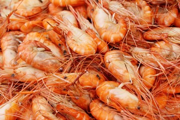 Sticker - Grilled shrimp is delicious at street food