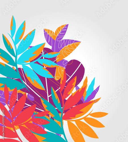 Composizione di Piante Decorative