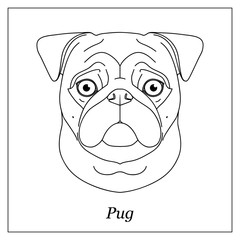 Wall Mural - Isolated black outline head of pug dog, mops on white background. Line cartoon breed dog portrait.