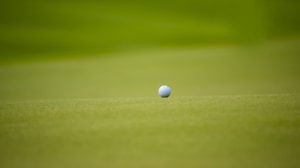 The golf ball put on green grass of golf course 