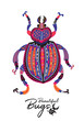 Print of decorative ornamental beetle. Fantasy vector illustration