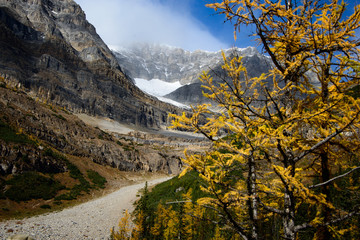 Plain of Six Glaciers track, Banff national Park, Canadian Rockies