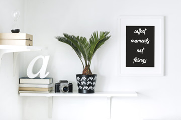 The stylish interior with concept shelfs, mock up poster frame and tropical palm in hipster pot. Modern room with white walls.