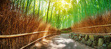 Fototapeta Sypialnia - Path in bamboo forest in Kyoto, Japan. Woods in Arashiyama destrict