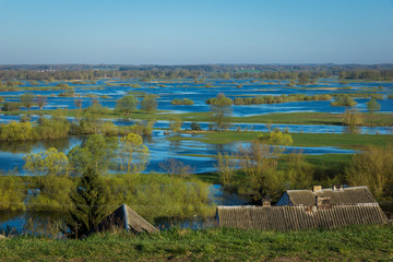 Wall Mural - View from Mount Strekowa to the backwaters of Narew river in Podlasie, Poland