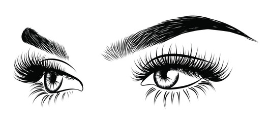 Wall Mural - Illustration of woman's sexy luxurious eye with perfectly shaped eyebrows and full lashes. Hand-drawn Idea for business visit card, typography vector. Perfect salon look.