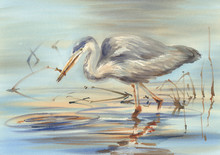 Water Bird In The Lake Watercolor