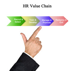 Wall Mural - HR Value Chain