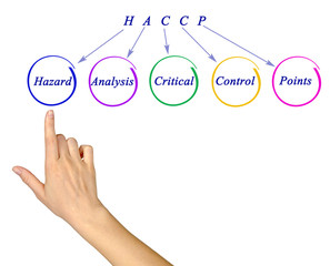 Wall Mural - Diagram of HACCP Regulatory Requirements