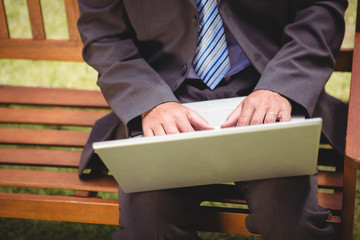 Poster - Businessman using laptop in the park
