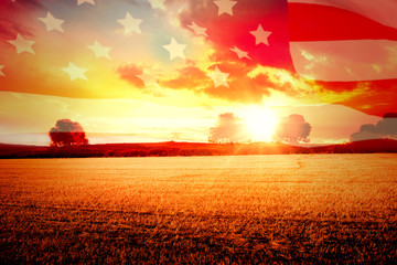 Poster - Highly Detailed 3d Render of an American flag against countryside scene
