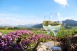 Zwei Weißweingläser vor Alpenkulisse, romantisch mit blühendem Blaukissen