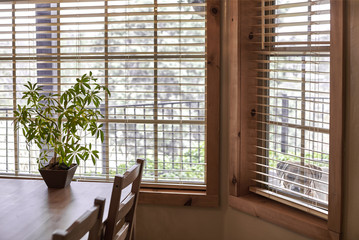 Dog looking in the Dining Room Window