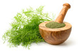 dried dill weed in the wooden mortar, with fresh dill weed isolated on white
