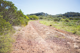 Fototapeta Sawanna - Picture of track in arid landscape