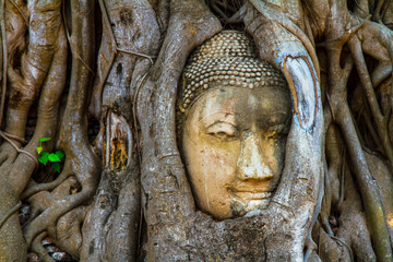 Wat Mahathat, Ayutthaya, Thailand