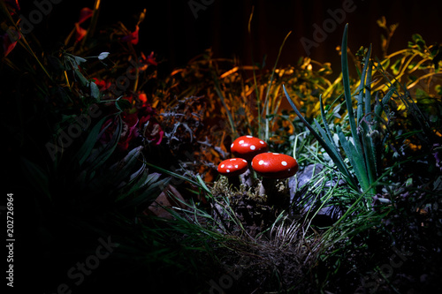 Mushroom Fantasy Glowing Mushrooms In Mystery Dark Forest Close Up Amanita Muscaria Fly Agaric In Moss In Forest Magic Mushrooms Background Buy This Stock Photo And Explore Similar Images At Adobe Stock Glowing rhino photo manipulation effect photoshop tutorial. adobe stock
