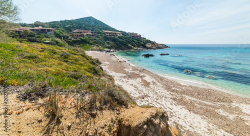 Plakat Rośliny nad morzem w Cala Caterina beach