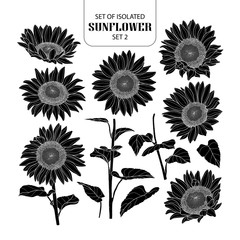 Wall Mural - Set of isolated silhouette sunflower set 2.