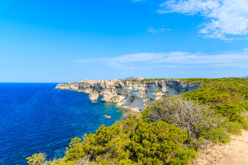 Wall Mural - View of Bonifacio town located on high cliff above sea, Corsica island, France