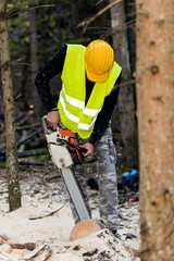 Wall Mural - Man working with chainsaw in forest