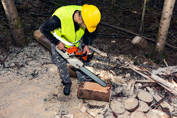 Wall Mural - Man working with chainsaw in forest