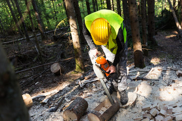 Wall Mural - Man working with chainsaw in forest