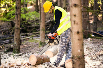 Wall Mural - Man working with chainsaw in forest