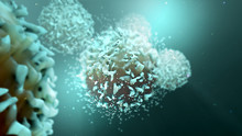 3d Illustration T Cells 
