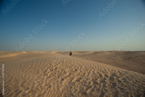 Plakat Krajobraz Sahara w Tunezja