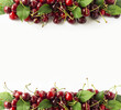 Fresh red cherries  at border of image with copy space for text. Background of cherries. Ripe cherry on a white background. Top view. Cherry fruit.