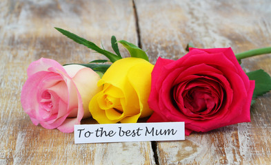 Wall Mural - To the best mum, card with colorful roses for mothers day
