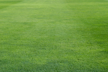 green grass on playing field background