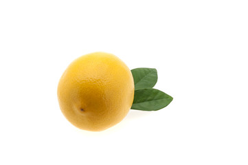 Bright fresh lemon with two green leaves on a white background.