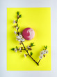 © alexmishchenko - A branch of cherry blossoms and a French dessert on a yellow bright and stylish background. Elegant dessert of almond flour macaron \ macaroon. Nice pink biscuit.