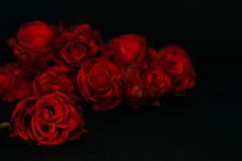 Red Roses In The Darkness.