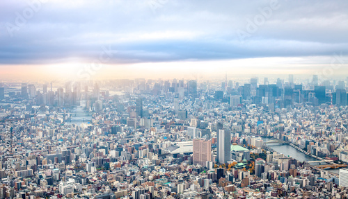 Plakat Wysokiego kąta widok Tokio pejzaż miejski pod markotnym niebem