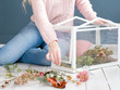 interior designer creating a room decor composition of dried flowers and herbs