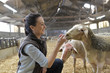 © goodluz - Farmer woman in shed petting sheeps