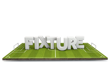 Wall Mural - Football, soccer pitch with white fixture text. 3D Rendering