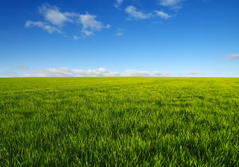 green field and clouds