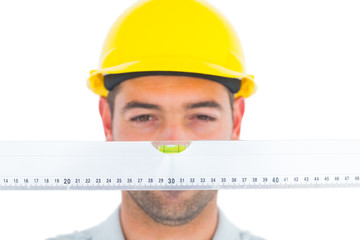 Poster - Handyman looking at spirit level