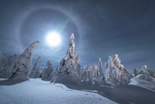 View Of Moon Halo Over The Snowy Trees
