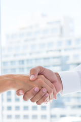 Poster - Close up view of two business people shaking hands