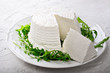 Ricotta cheese with arugula on plaster background